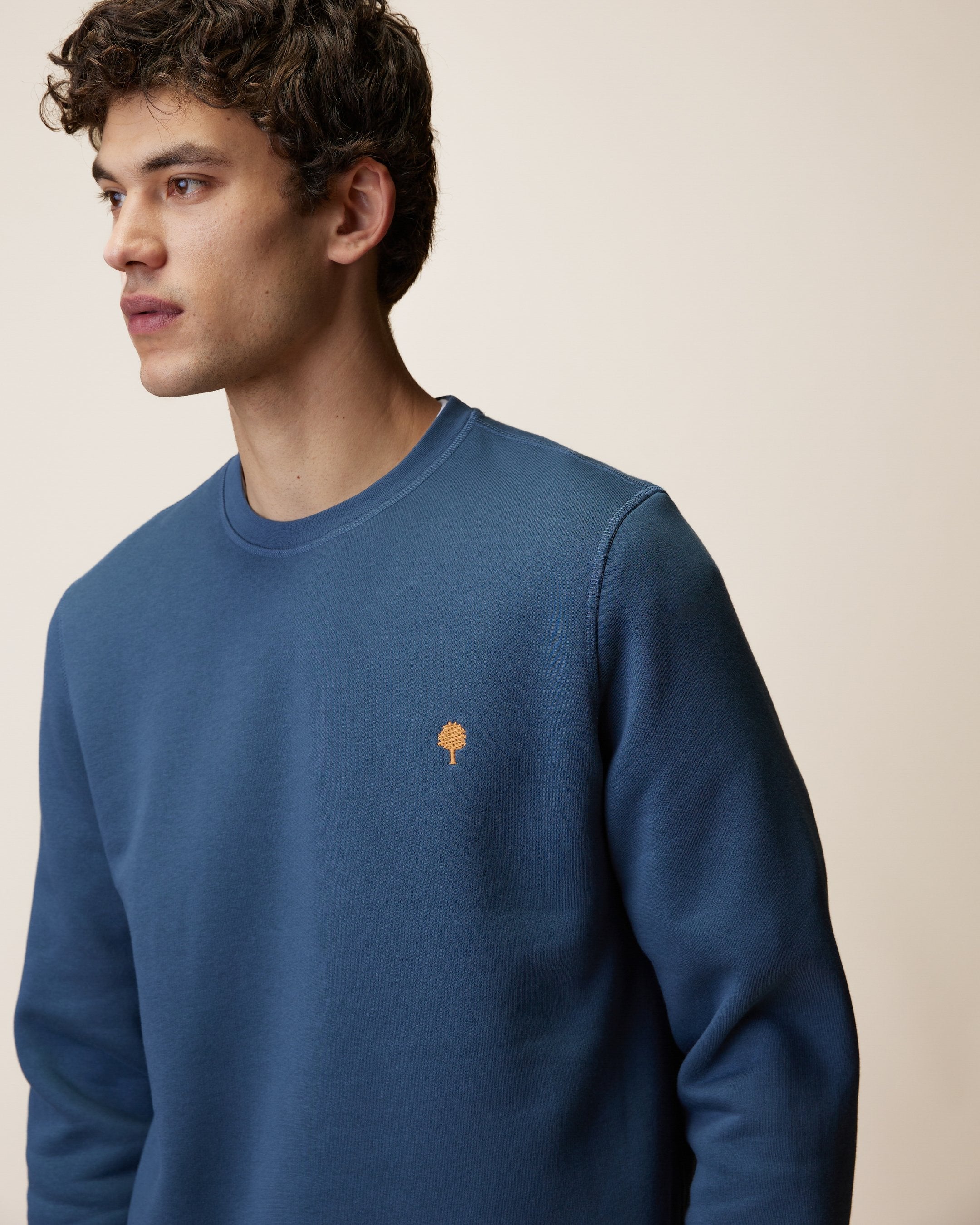 faguo-donzy-sweat-col-rond-bleu-homme image 4