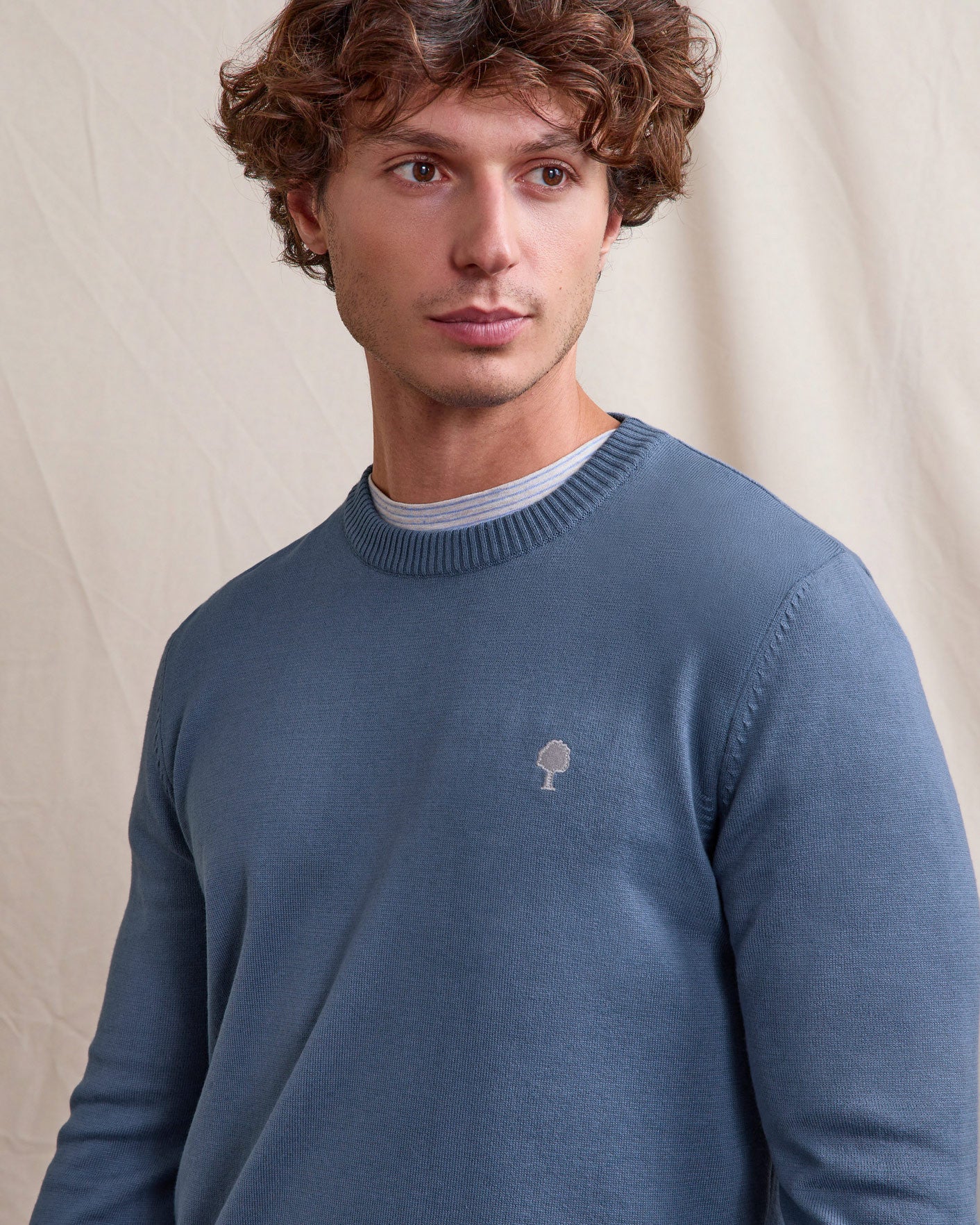 faguo-marly-pull-homme-col-rond-bleu-fonc image 3