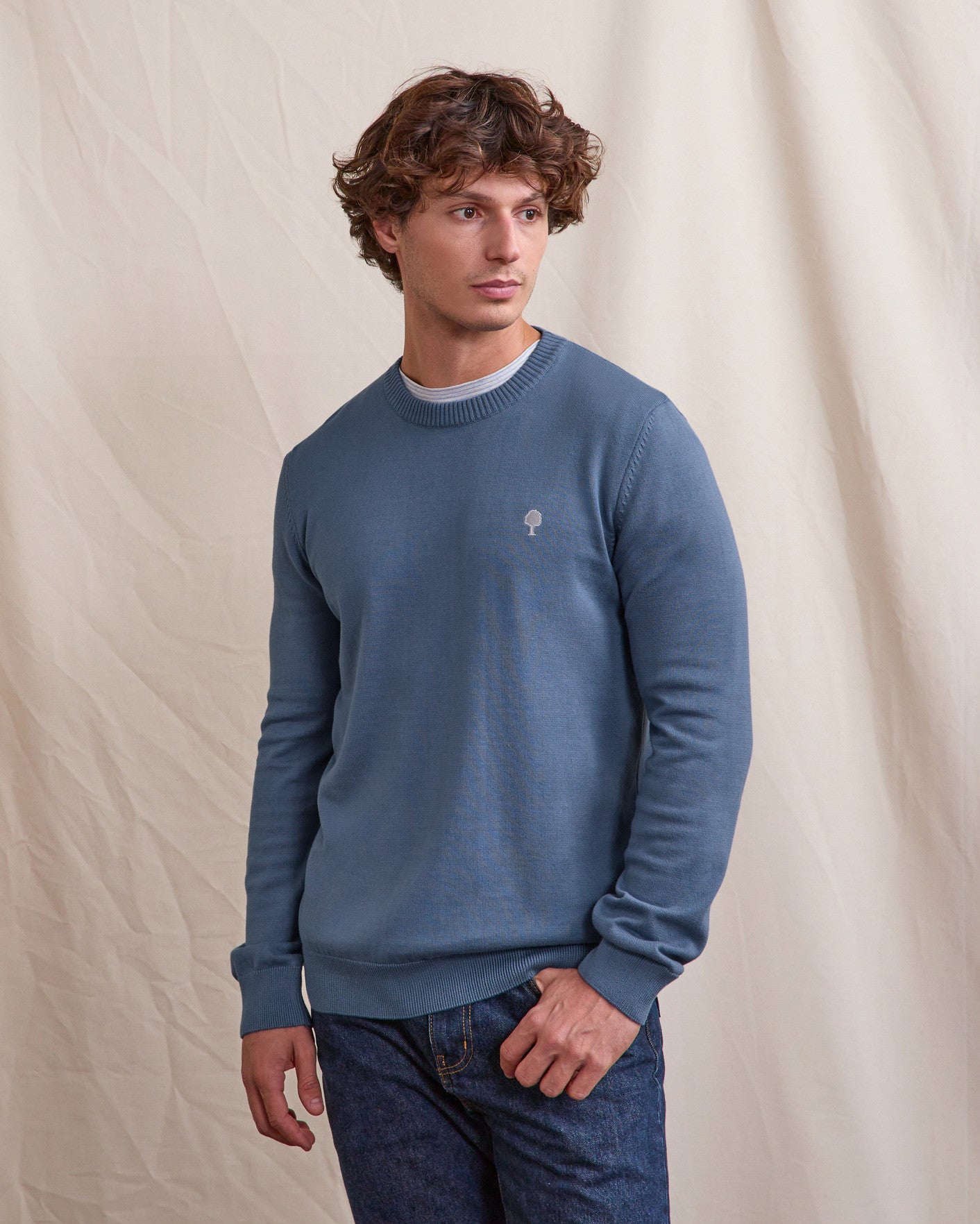 faguo-marly-pull-homme-col-rond-bleu-fonc image 1