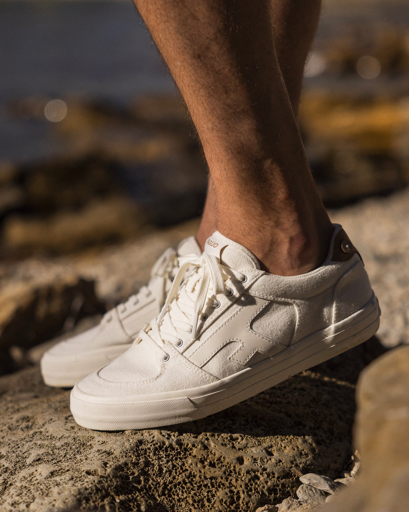 faguo-baskets-homme-walnut-toile-crue-coton-recycl-fm-s26cg0107-whi36 image 2
