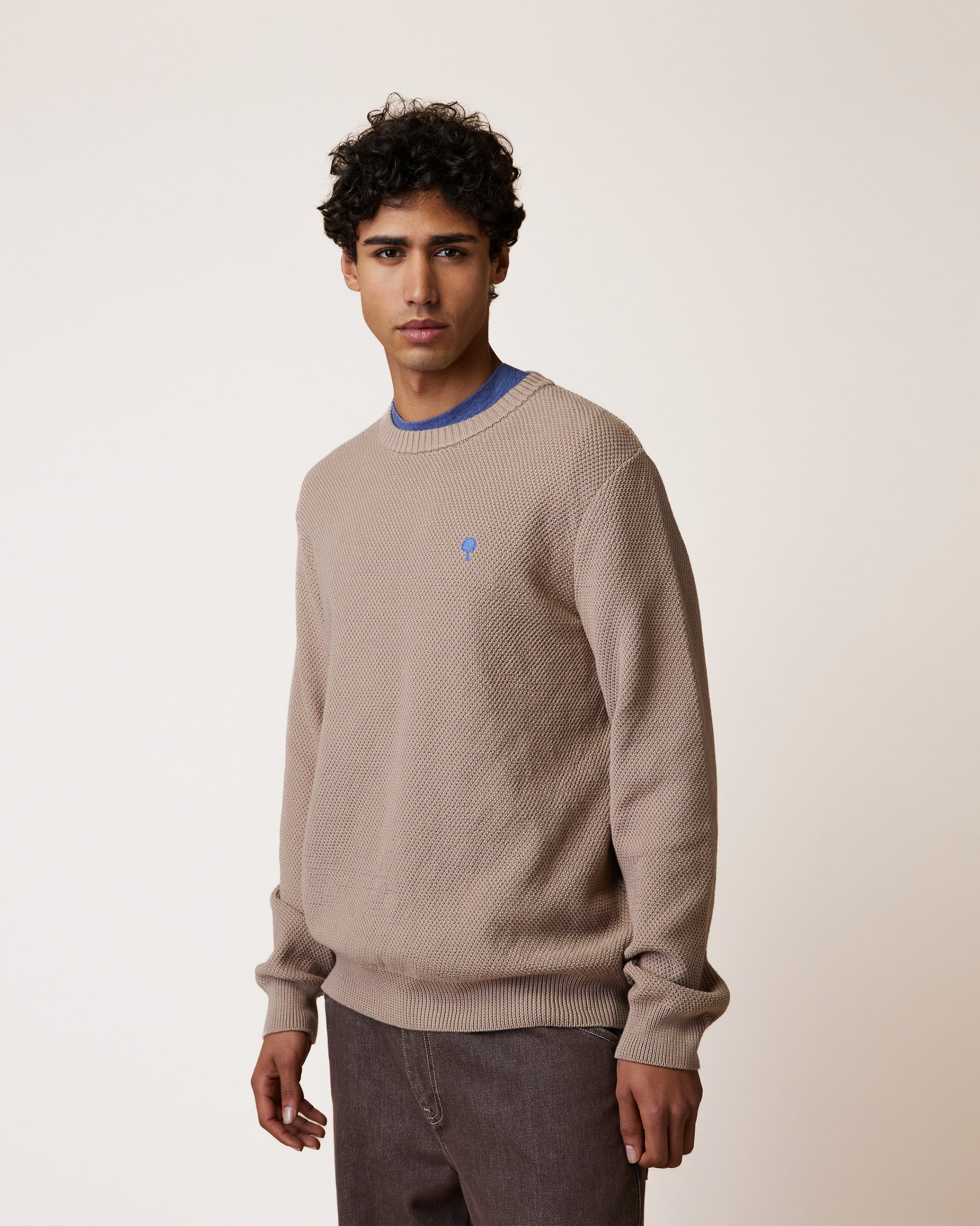 faguo-opale-pull-col-rond-beige-fonc-coton-bio-homme image 1