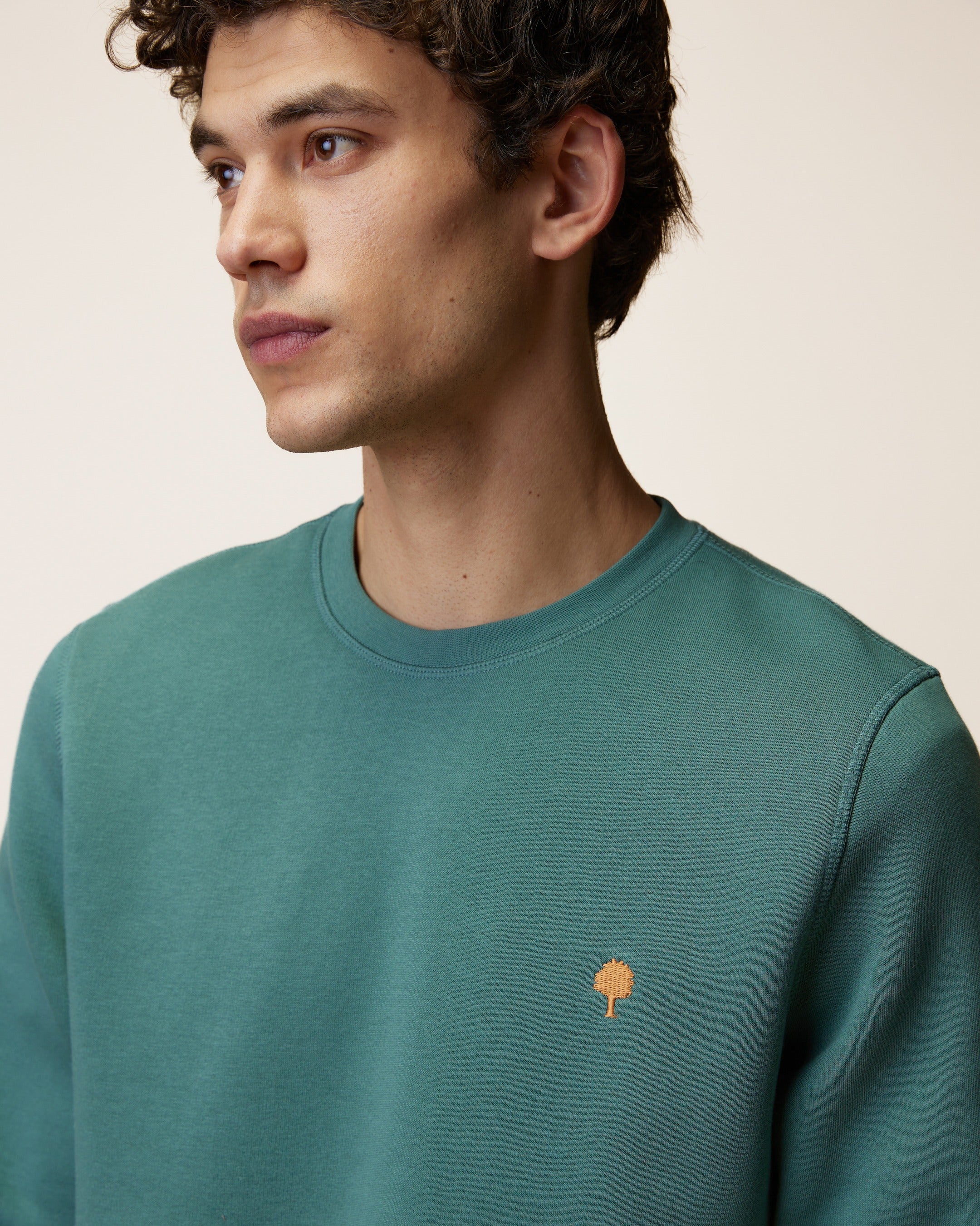 faguo-donzy-sweat-col-rond-vert-clair-gris-molleton image 4