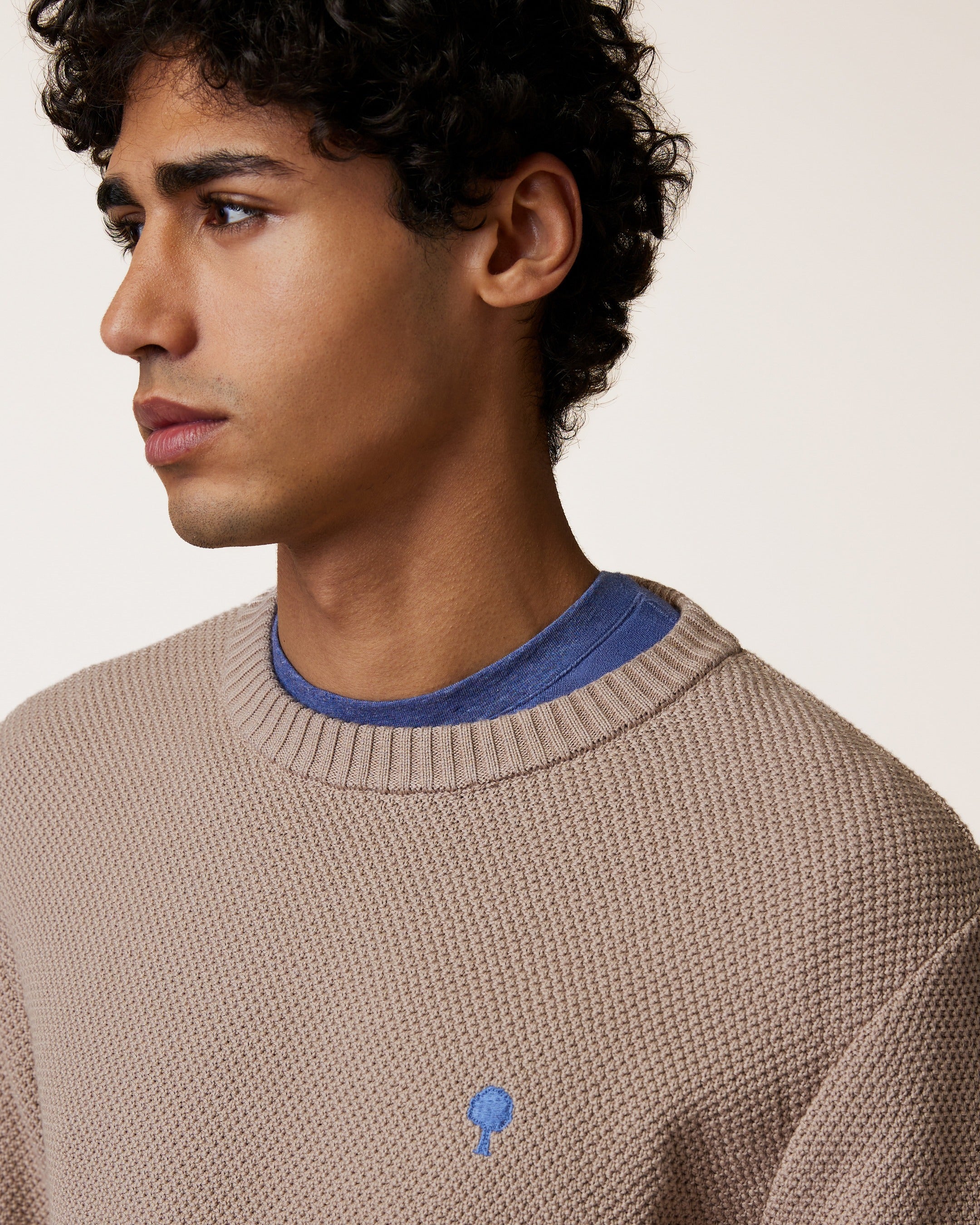 faguo-opale-pull-col-rond-beige-fonc-coton-bio-homme image 7