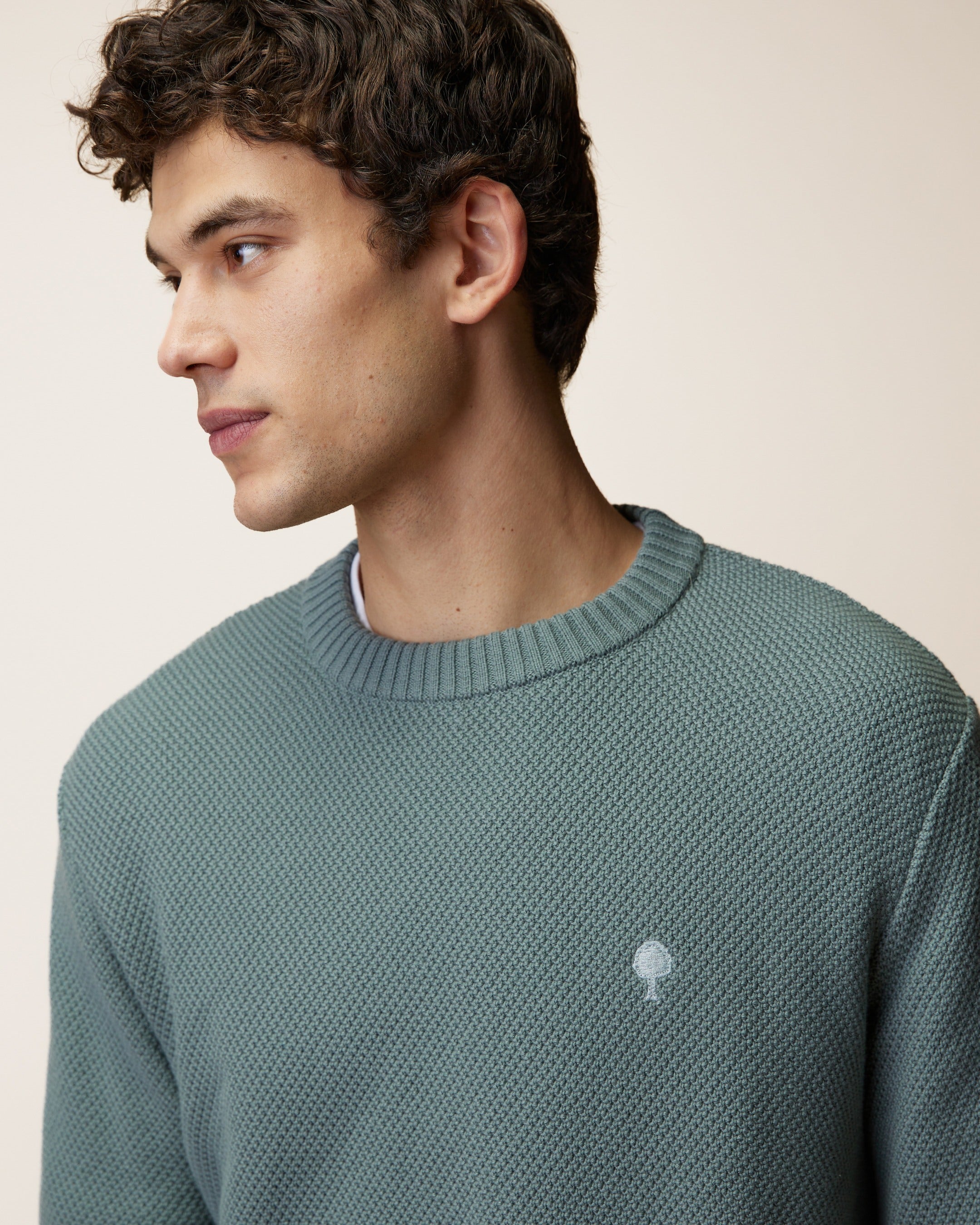 faguo-opale-pull-col-rond-vert-coton-biologique image 6