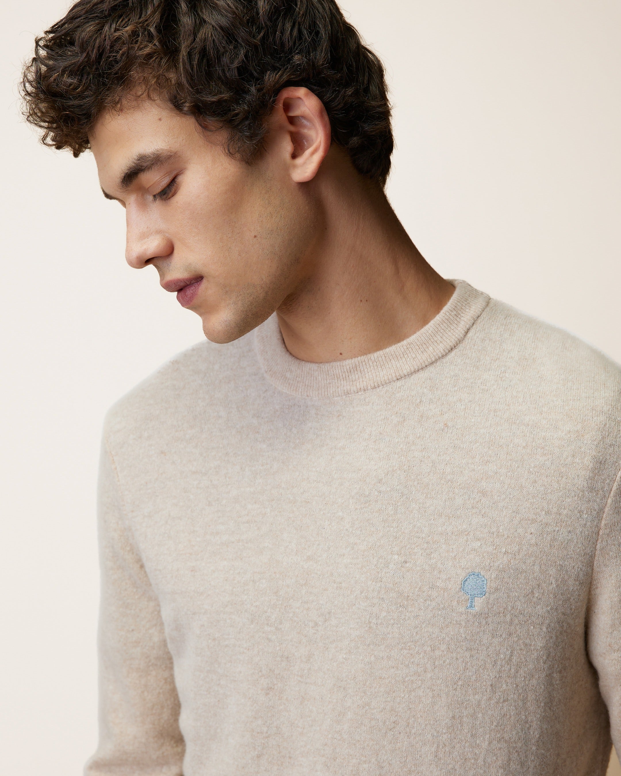 faguo-marly-pull-col-rond-homme-beige-laine image 6