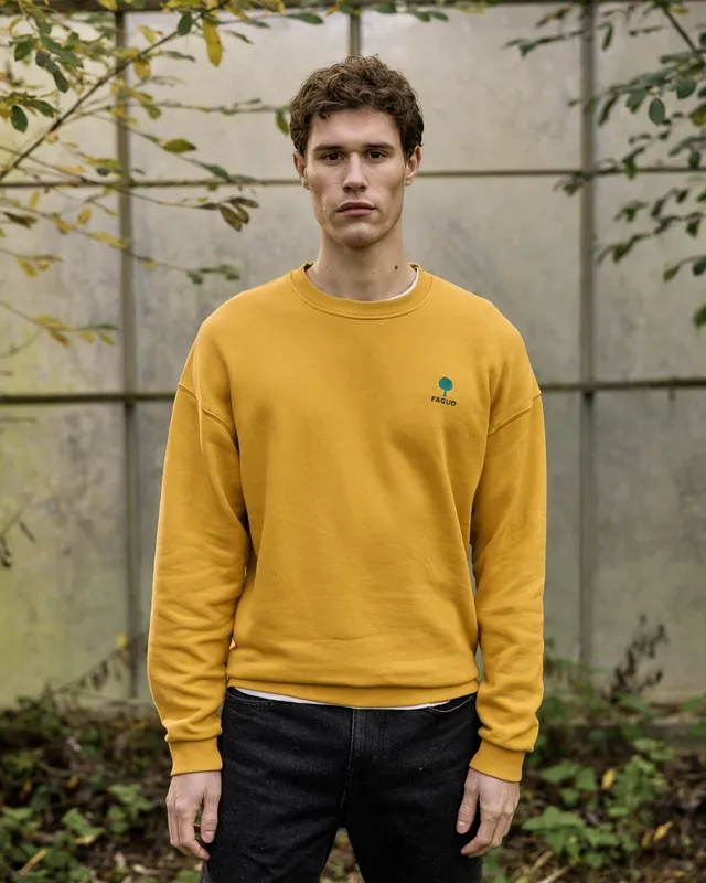 faguo-fango-sweat-col-rond-ocre-loose-vintage image 1