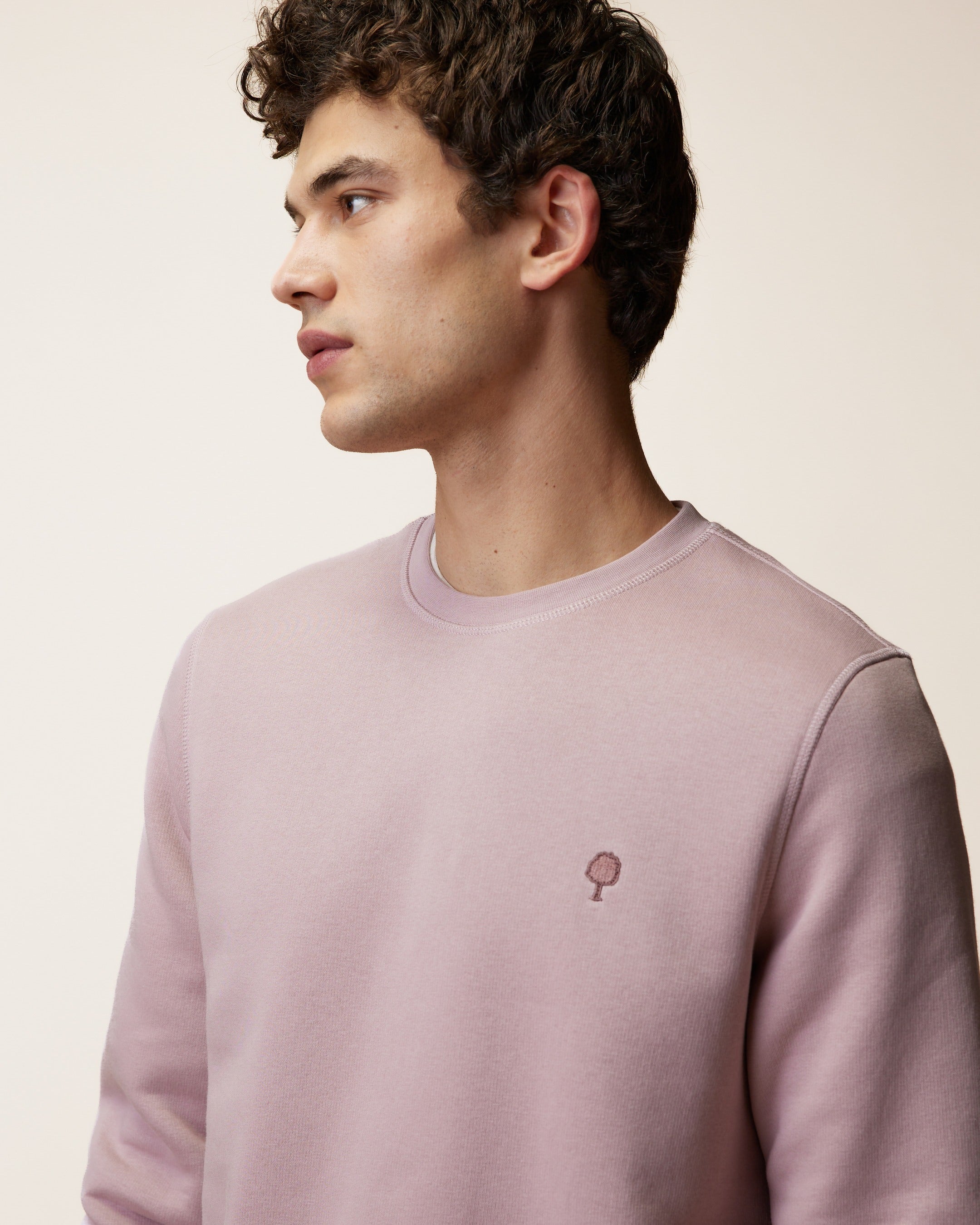faguo-donzy-sweat-col-rond-mauve-homme image 6