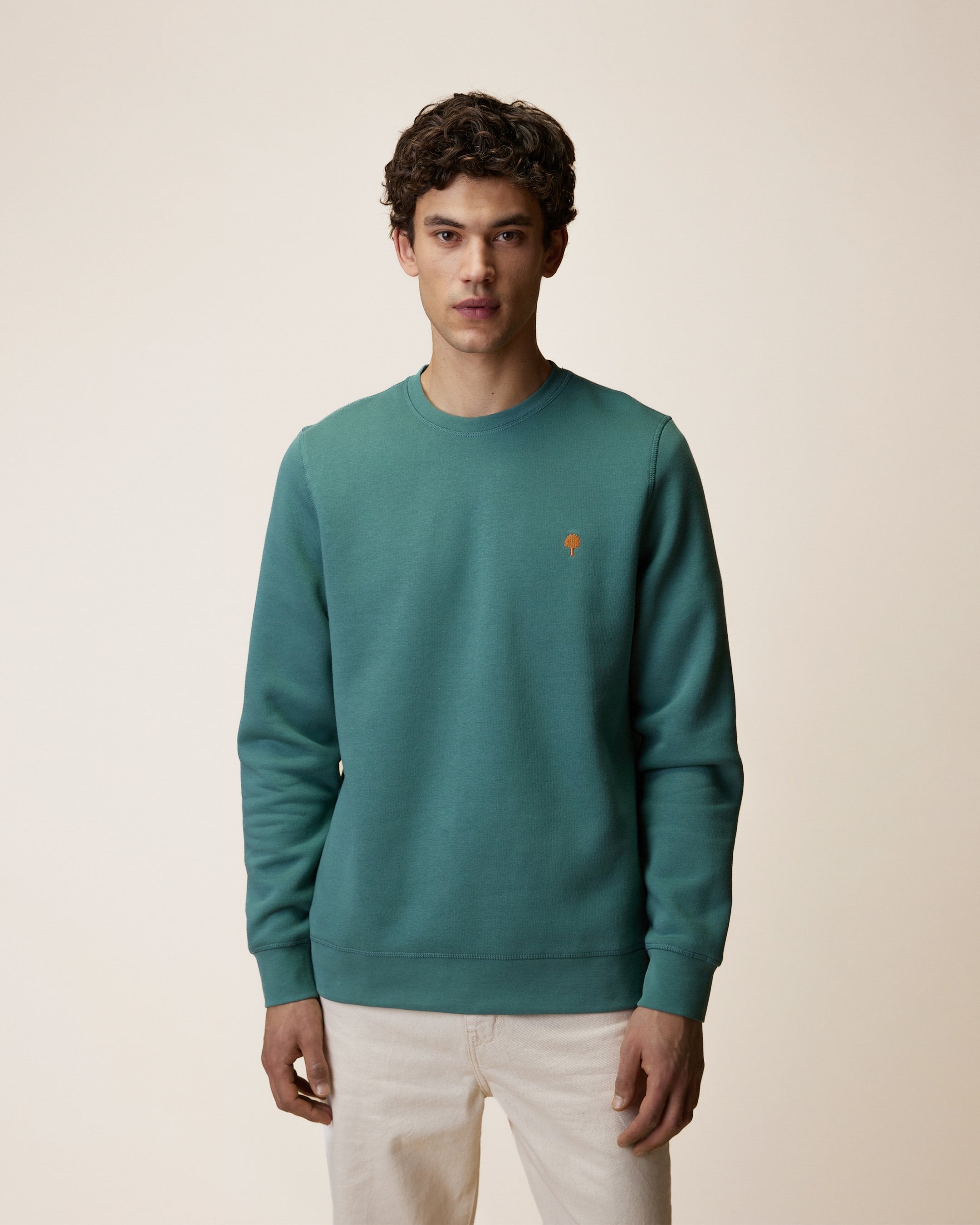 faguo-donzy-sweat-col-rond-vert-clair-gris-molleton image 1