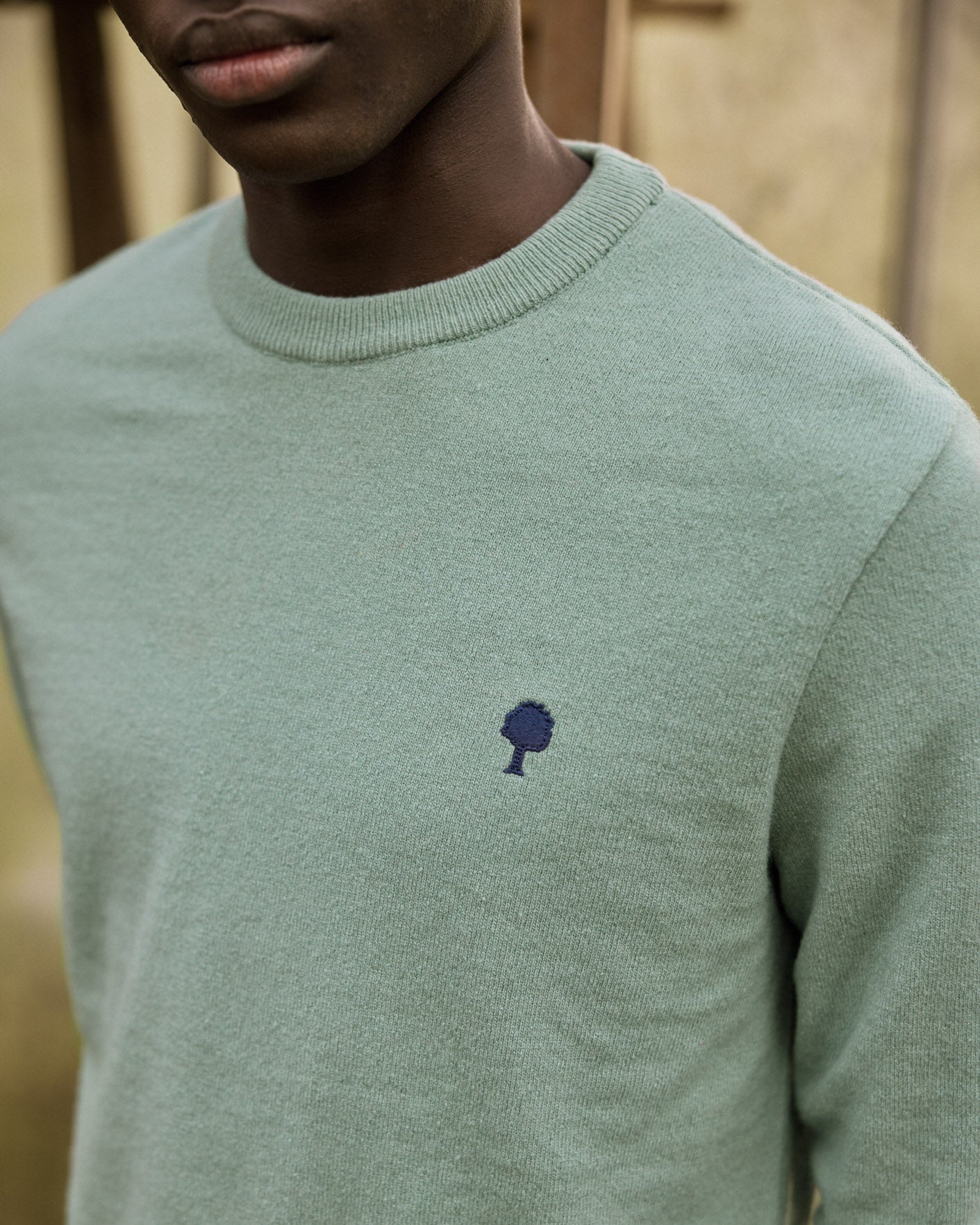 faguo-marly-pull-en-laine-vert-clair-homme image 3